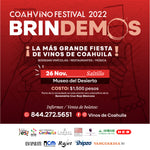 Cargue la imagen en el visor de la galería, COAHVINO Festival 2022 Saltillo
